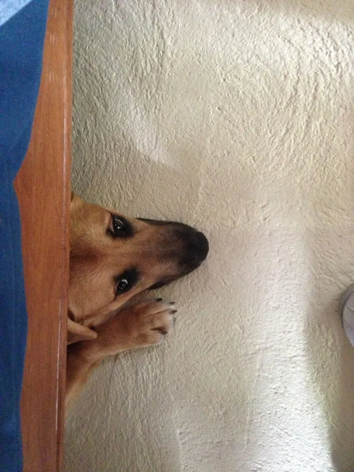 My Buddy Got A Little Scared Of The Wind This Weekend