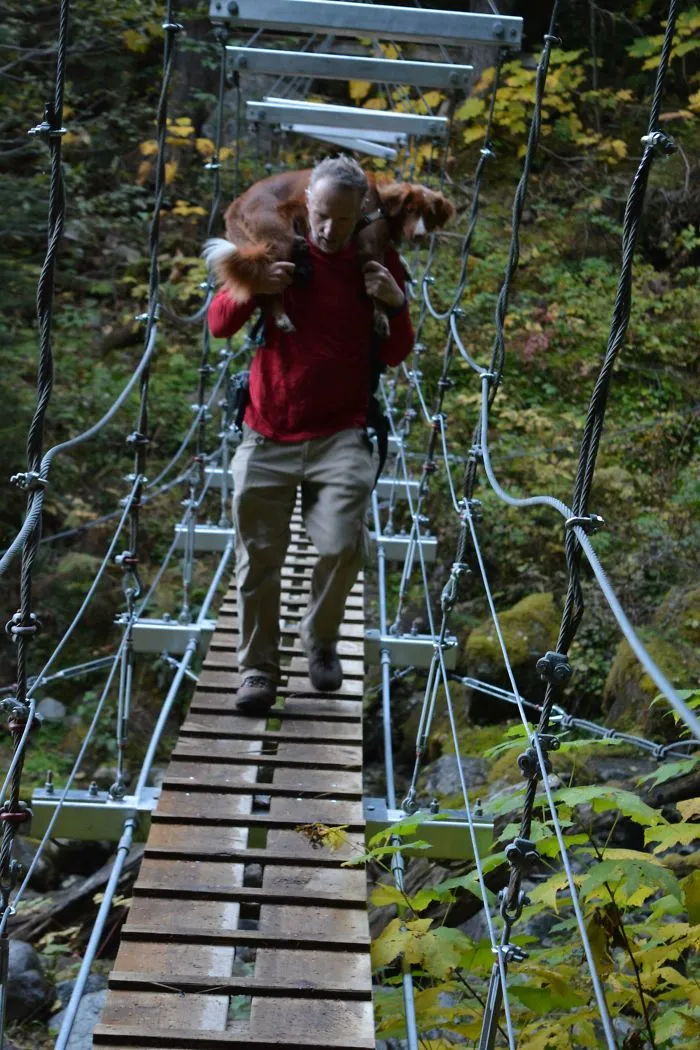 She Was Too Scared To Walk Across The Bridge By Herself