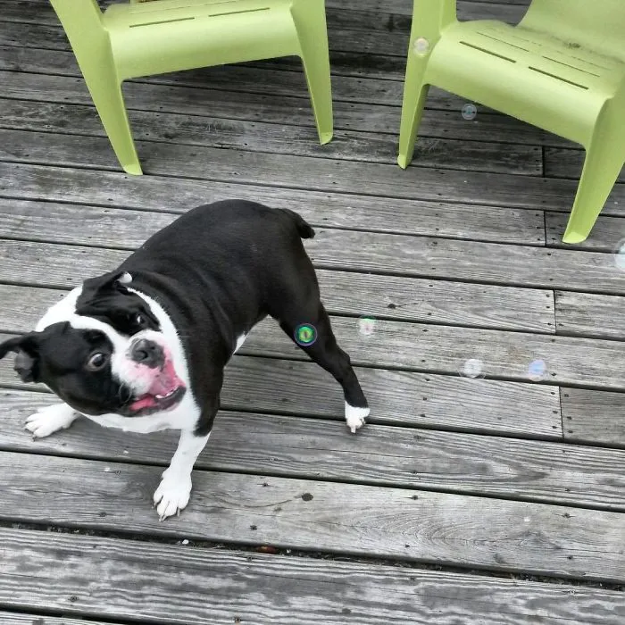 He's Scared Of Bubbles Apparently
