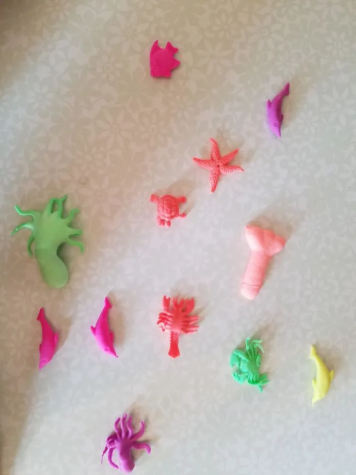 My Son Got These Toys That Grow In The Water For Christmas. One Of Them Is Not Like The Others