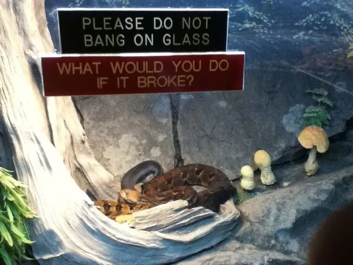 43 Funny Zoo Signs Which Probably Have Some Incredible Stories Behind Them