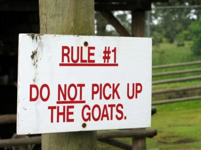 43 Funny Zoo Signs Which Probably Have Some Incredible Stories Behind Them