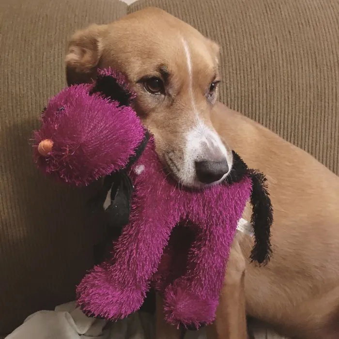 Her Kitty Was Scared Of The Thunder, Not Her. Never Her