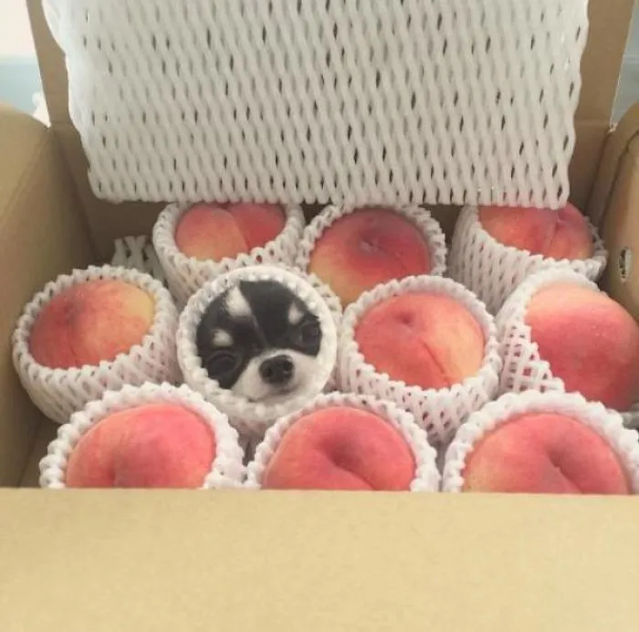 One Of These Is Not Like The Others