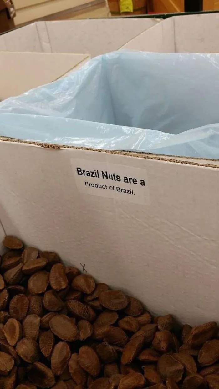 111 Obvious Signs Humanity Is Regressing