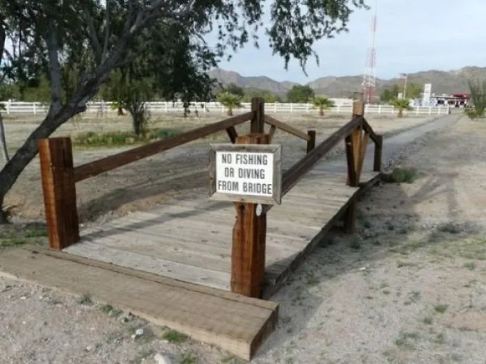 111 Obvious Signs Humanity Is Regressing