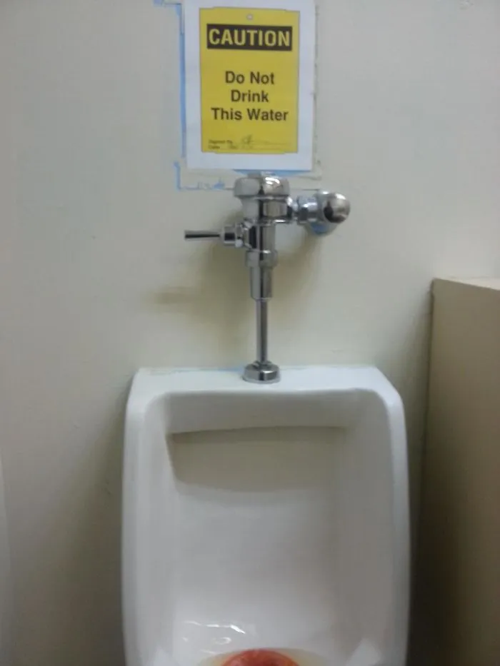 111 Obvious Signs Humanity Is Regressing