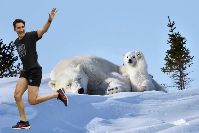 Friendly Canadian Neighbours