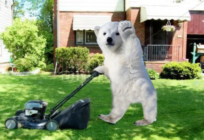 Howdy, Neighbor!