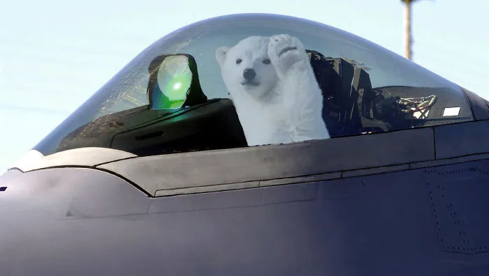 Has The Air Force Gone Too Far?!