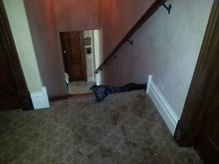 No le dejamos subir al segundo piso, pero ha vencido al sistema