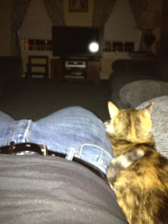 Got Home From Work And Fell Asleep. Woke Up With This Guy On My Lap. I Don't Have A Cat