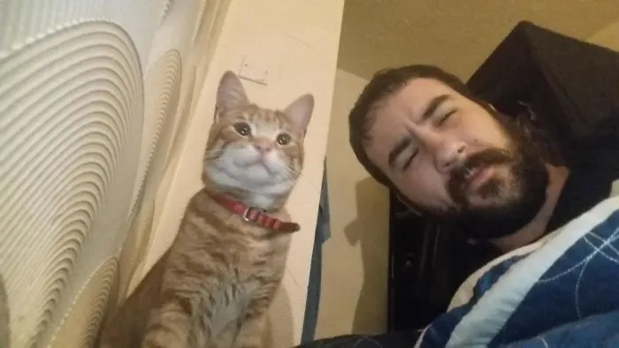 Este bicho me despertó a las 2:45 de la mañana. No tengo gato, ¿es así como se consiguen?