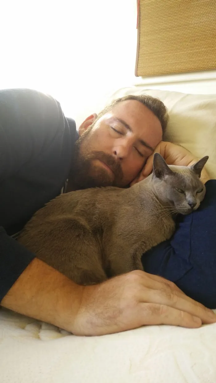 I Don't Own A Cat. I  Was Having A Good Old Fashioned Day Nap And My Missus Snapped This Sneaky Feline Muscling In On My Hard Earned Warmth