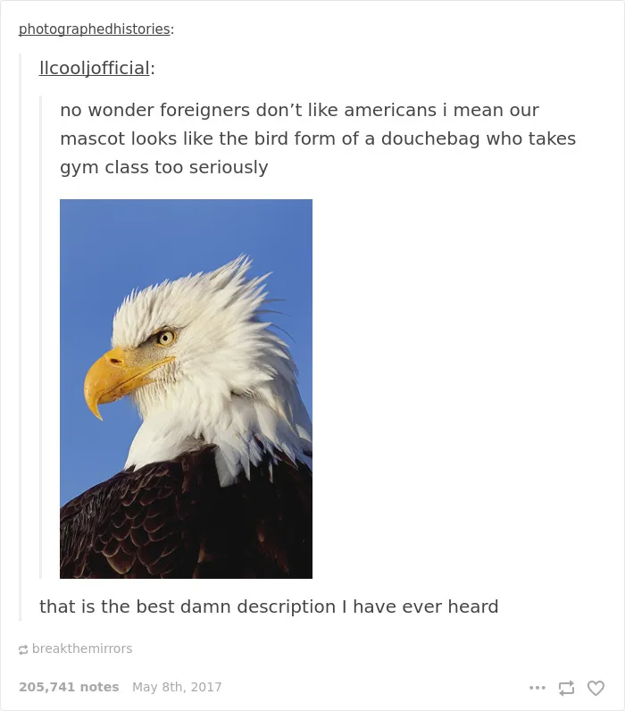 35 Times Tumblr Hilariously Roasted Americans