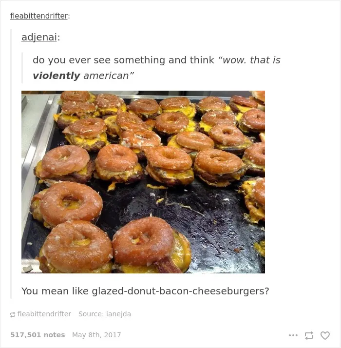 35 Times Tumblr Hilariously Roasted Americans