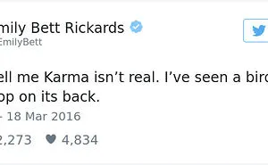 53 Times Karma Taught Assholes A Valuable Lesson