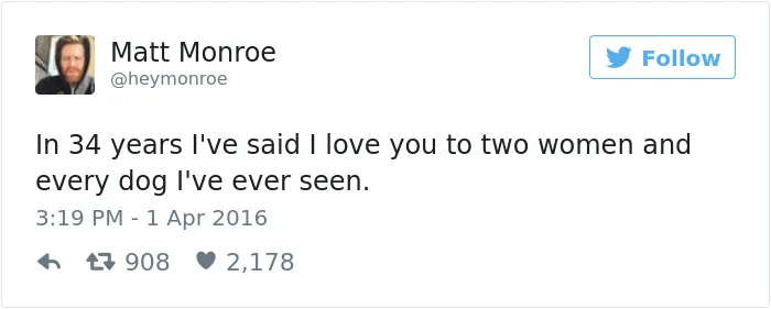 60 Funny Dog Tweets That Are Too Relatable