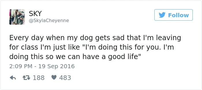 60 Funny Dog Tweets That Are Too Relatable