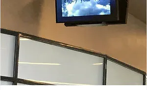 186 Reasons Why Shut Up