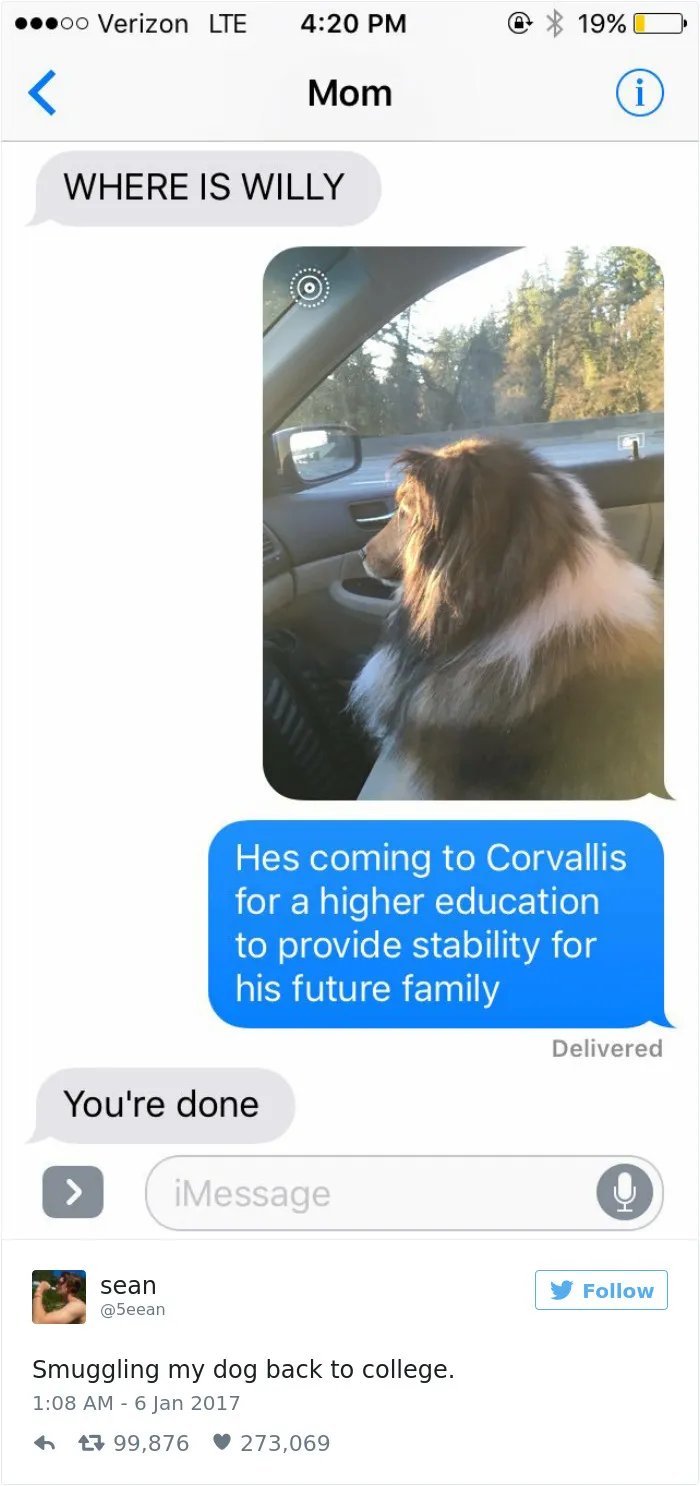 60 Funny Dog Tweets That Are Too Relatable