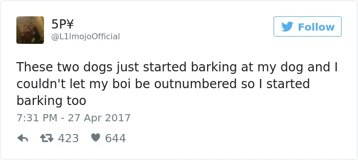 60 Funny Dog Tweets That Are Too Relatable