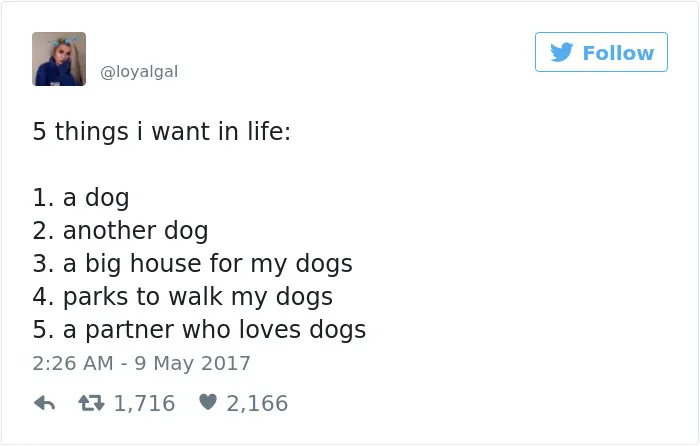 60 Funny Dog Tweets That Are Too Relatable