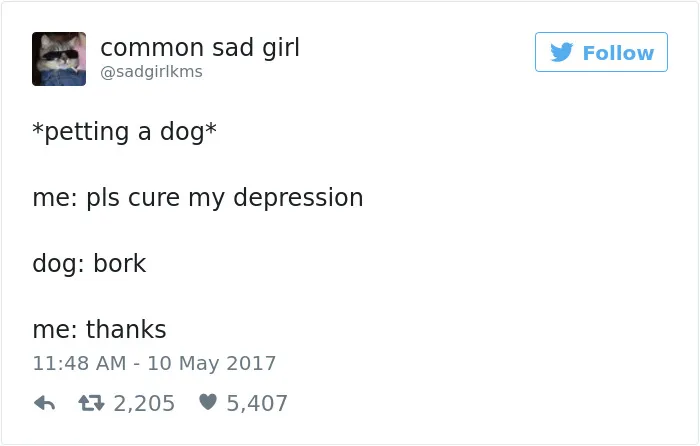 60 Funny Dog Tweets That Are Too Relatable
