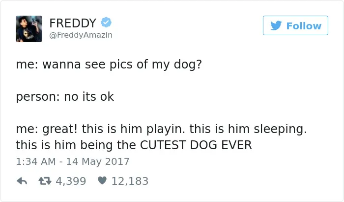 60 Funny Dog Tweets That Are Too Relatable