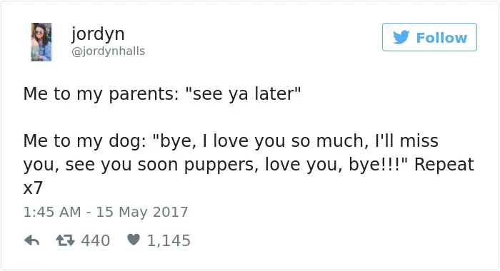 60 Funny Dog Tweets That Are Too Relatable