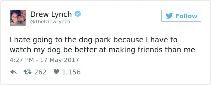 60 Funny Dog Tweets That Are Too Relatable