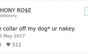 60 Funny Dog Tweets That Are Too Relatable