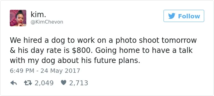 60 Funny Dog Tweets That Are Too Relatable