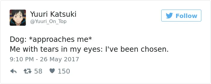 Dog Tweets
