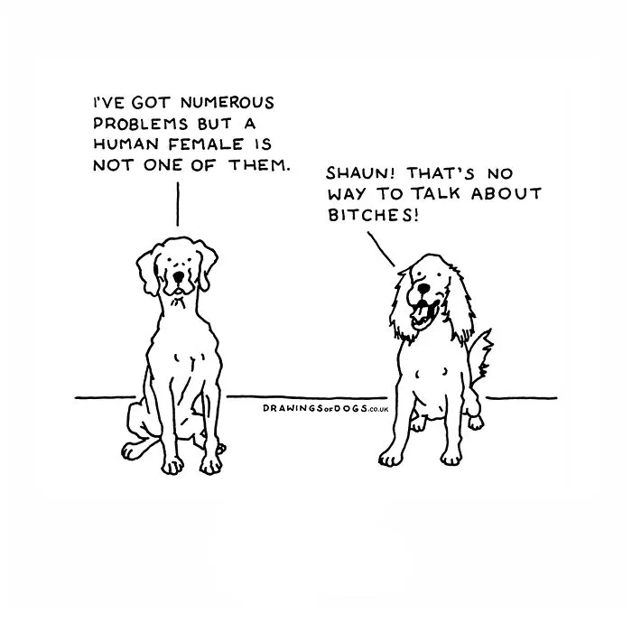 After My Anxiety Forced Me To Drop Out Of A Philosophy PhD I Started Drawing Dog Comics