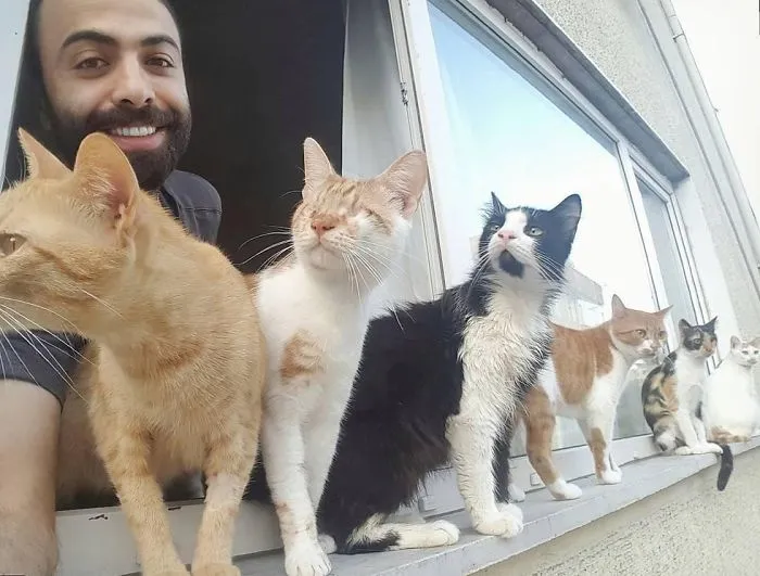 Pianist Saves Injured Cats From Streets And They Become His Most Loyal Audience