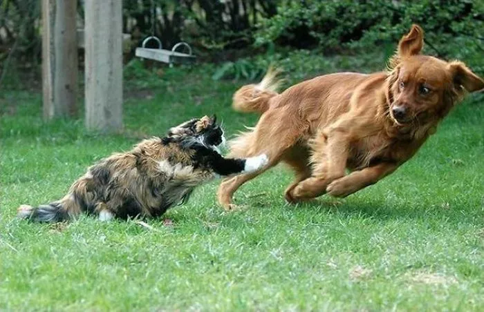 "invisible Boundary Radius Violated!"