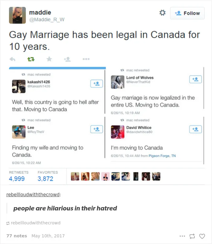 35 Times Tumblr Hilariously Roasted Americans