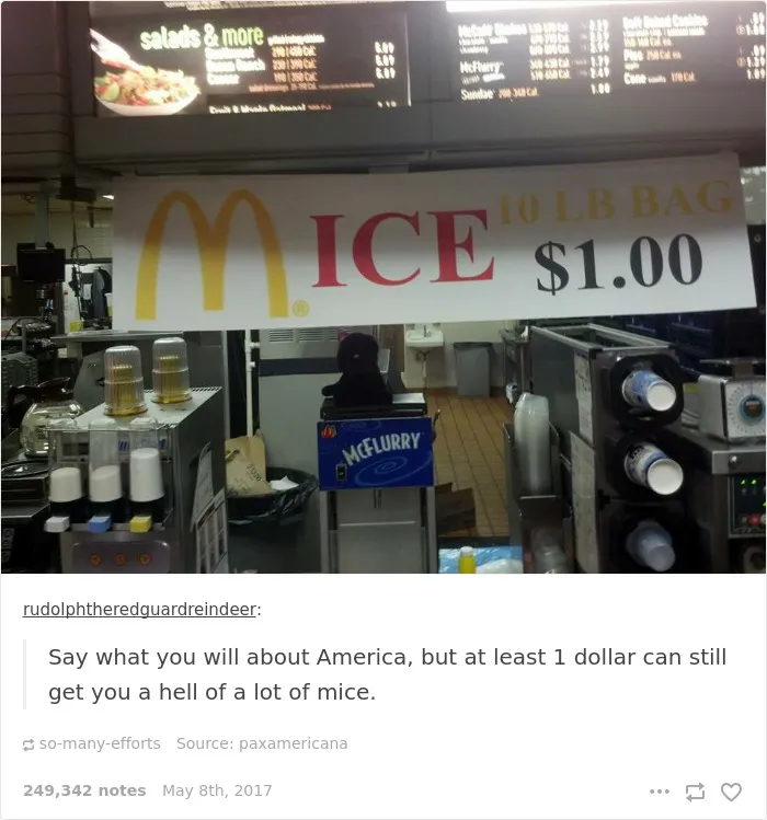 35 Times Tumblr Hilariously Roasted Americans