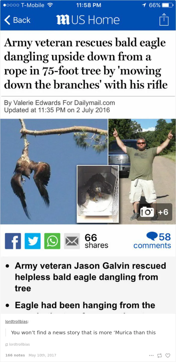 35 Times Tumblr Hilariously Roasted Americans