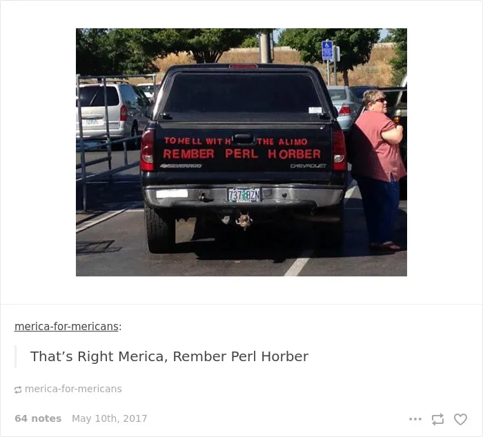 35 Times Tumblr Hilariously Roasted Americans