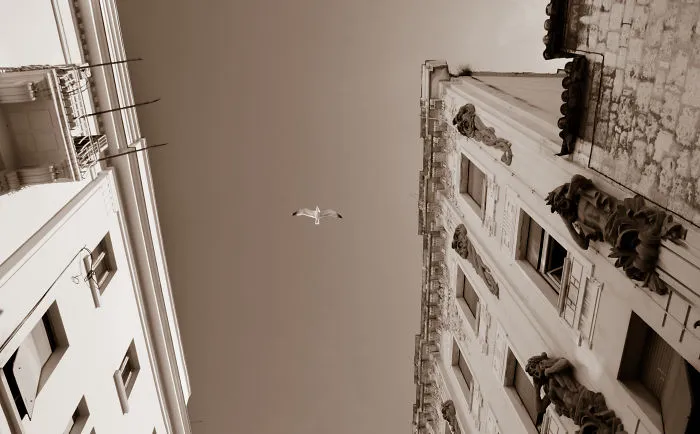 Split In Croatia Through My Lens