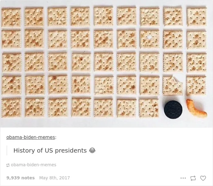 35 Times Tumblr Hilariously Roasted Americans