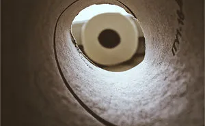 Toilet Paper Art With An Important Message For All Of Us