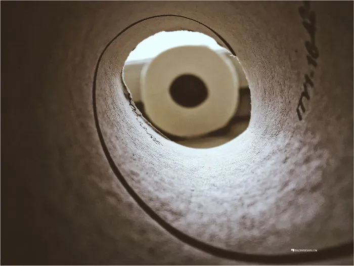Toilet Paper Art With An Important Message For All Of Us