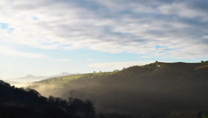 My Family Bought 27 Animals And Moved Up A Mountain