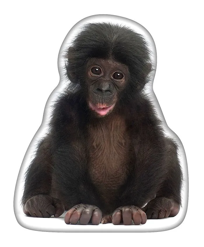 The Snuggle Is Real! Get Your Own Fluffy Custom Décor Pillows Here!