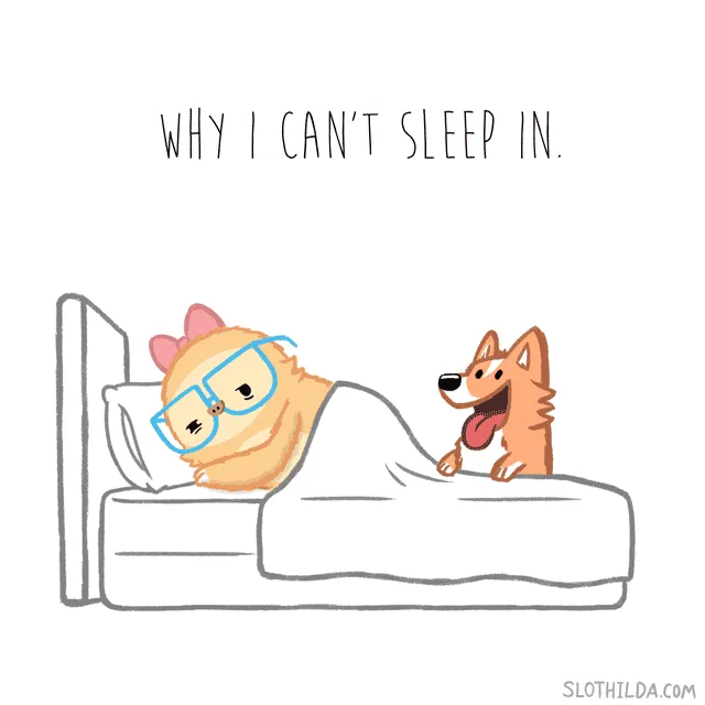 Meet Slothilda! Illustrator Fights With His Inner Sloth By Creating Adorable Sloth Comics