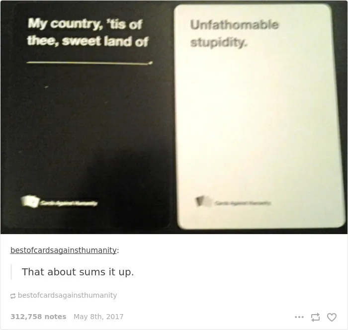 35 Times Tumblr Hilariously Roasted Americans