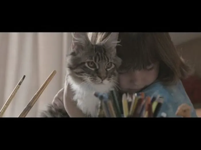 A Cat Did Something Amazing, And It Became A Short Film